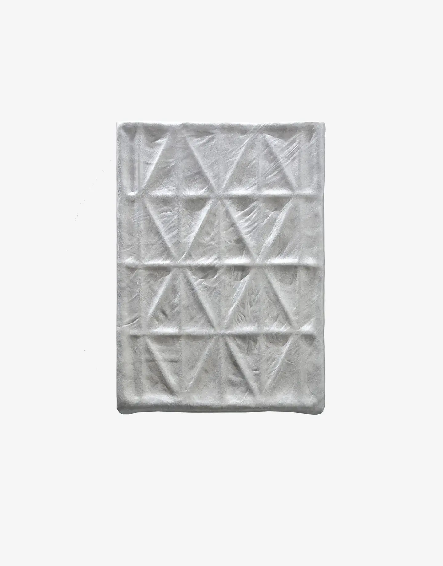 «Organic geometry» · Backboneburo